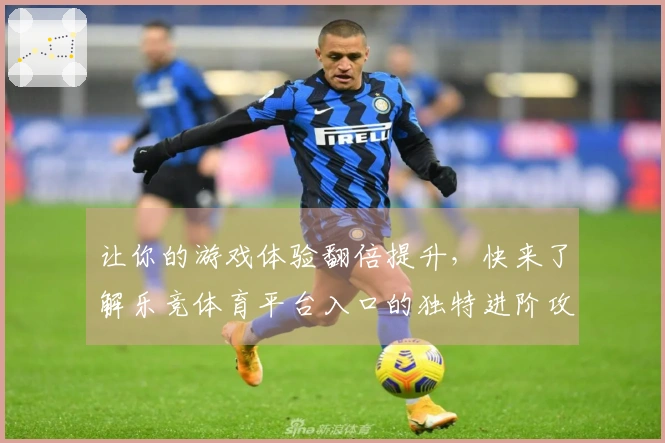 让你的游戏体验翻倍提升，快来了解乐竞体育平台入口的独特进阶攻略！